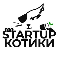 "Startup Kotiki"